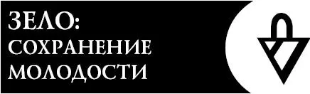 Это словолекарь поможет вам надолго сохранить молодость и здоровье всегда - фото 96