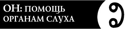Это словолекарь поможет вам улучшить слух при возрастных изменениях - фото 104