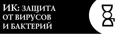 Это словолекарь поможет вам стать неуязвимым для вирусов и инфекций в - фото 109