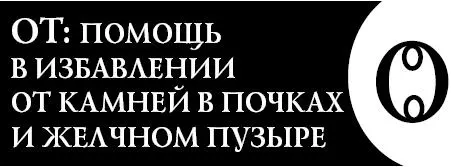 Это словолекарь поможет вам избавиться от камней в почках и желчном пузыре - фото 113
