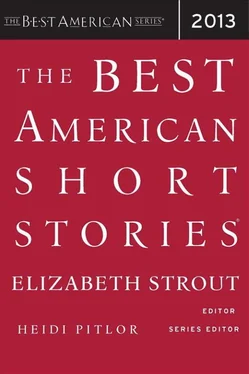 Elizabeth Strout The Best American Short Stories 2013 обложка книги