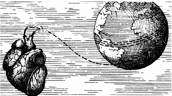 Рис 90 Нитью из кровяных телец взрослого человека можно было бы трижды - фото 151