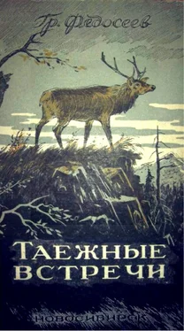 Григорий Федосеев Таежные встречи обложка книги