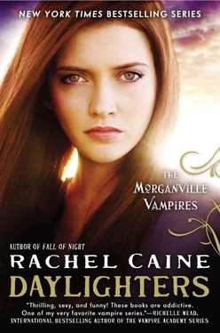 Rachel Caine Daylighters обложка книги