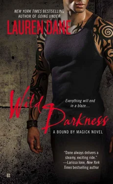 Lauren Dane Wild Darkness обложка книги