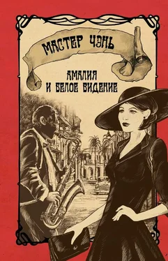 Мастер Чэнь Амалия и Белое видение обложка книги