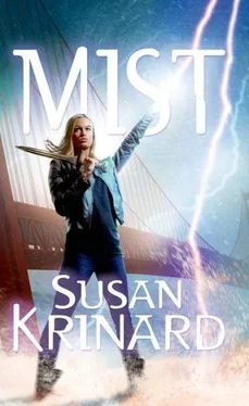 Susan Krinard Mist обложка книги