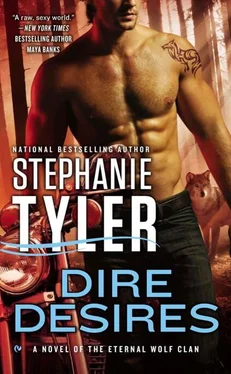 Stephanie Tyler Dire Desires обложка книги