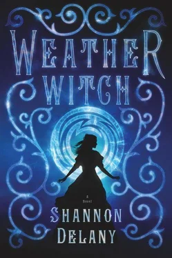 Shannon Delany Weather Witch обложка книги