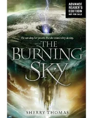 Shelly Thomas - The Burning Sky