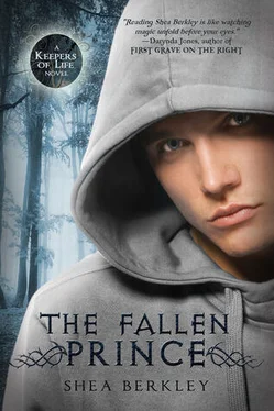 Shea Berkley The Fallen Prince обложка книги