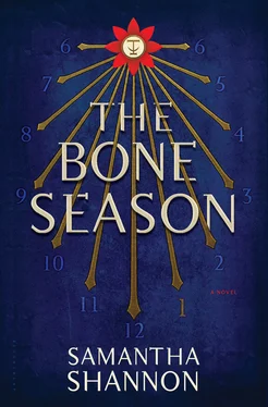 Samantha Shannon The Bone Season обложка книги