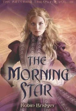 Robin Bridges The Morning Star обложка книги