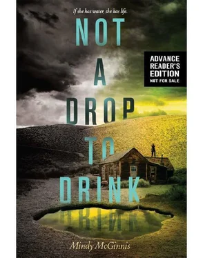 Mindy McGinnis Not a Drop to Drink обложка книги