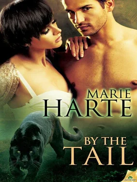 Marie Harte By the Tail обложка книги
