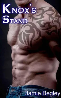 Jamie Begley Knox's Stand обложка книги