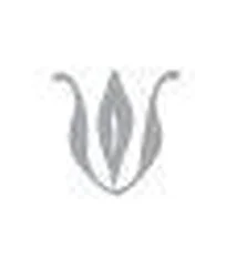 J. Cheney - The Golden City