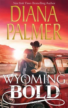 Diana Palmer Wyoming Bold обложка книги