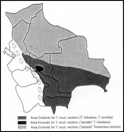 Figure 13 Areas endemic for T cruzi in Bolivia See Appendices 5 and 7 - фото 13