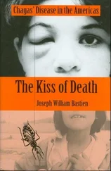 Joseph Bastien - The Kiss of Death