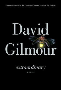 David Gilmour Extraordinary обложка книги