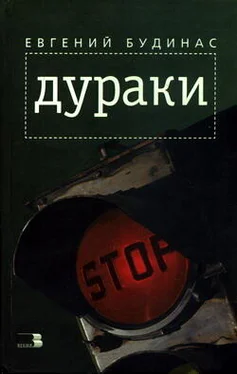 Евгений Будинас Дураки обложка книги