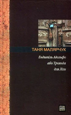 Таня Малярчук Ендшпіль Адольфо або Троянда для Лізи обложка книги