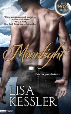 Lisa Kessler Moonlight обложка книги