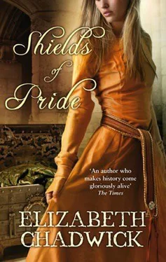 Elizabeth Chadwick Shields of Pride обложка книги