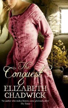 Elizabeth Chadwick The Conquest обложка книги