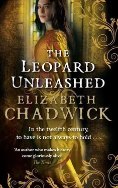 Elizabeth Chadwick The Leopard Unleashed обложка книги