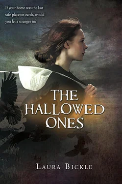 Laura Bickle The Hallowed Ones обложка книги