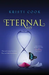 Kristi Cook - Eternal