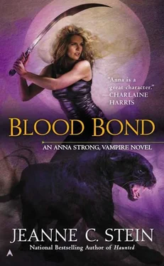 Jeanne Stein Blood Bond обложка книги