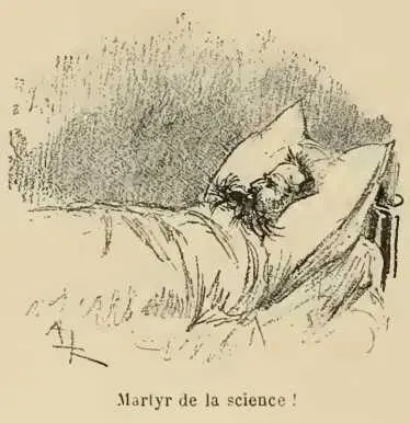 Deux découvertes sublimes véritablement et qui se tiennent malgré leur - фото 186