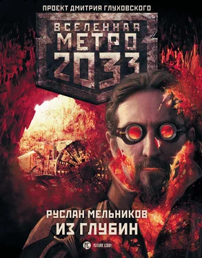 Руслан Мельников Метро 2033: Из глубин обложка книги