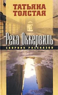 Татьяна Толстая Река Оккервиль обложка книги