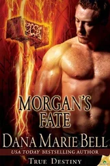 Dana Bell - Morgan's Fate