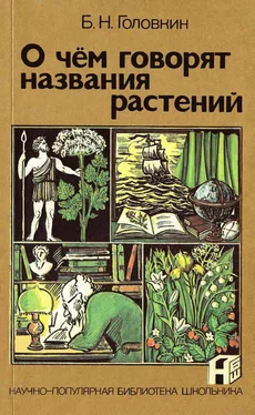 Борис Головкин О чем говорят названия растений обложка книги