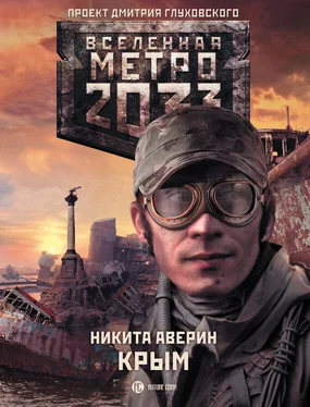 Никита Аверин Метро 2033: Крым обложка книги