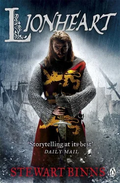 Stewart Binns Lionheart обложка книги