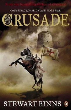 Stewart Binns Crusade обложка книги