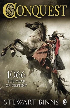 Stewart Binns Conquest обложка книги