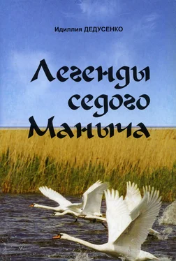 Идиля Дедусенко Легенды Седого Маныча обложка книги