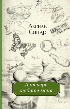 Аксель Сандр А теперь любите меня обложка книги