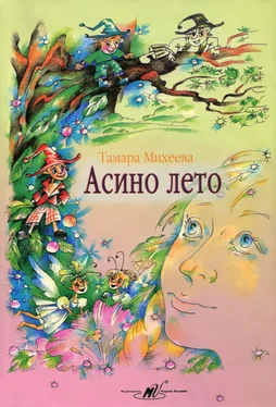 Тамара Михеева Асино лето обложка книги