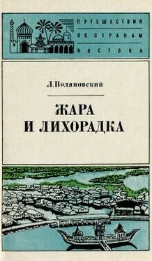 Люциан Воляновский Жара и лихорадка обложка книги