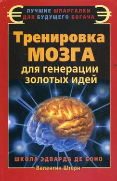 Валентин Штерн Тренировка мозга для генерации золотых идей. Школа Эварда де Боно обложка книги