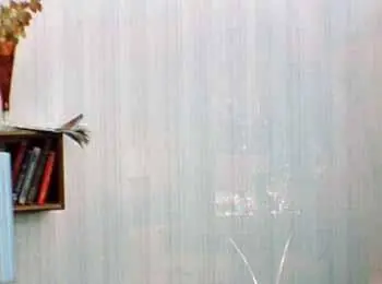 Стенка полностью восстановлена Жорж исследует стену Жорж Видел чудеса - фото 160