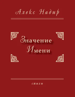 Алекс Надир Значение имени обложка книги